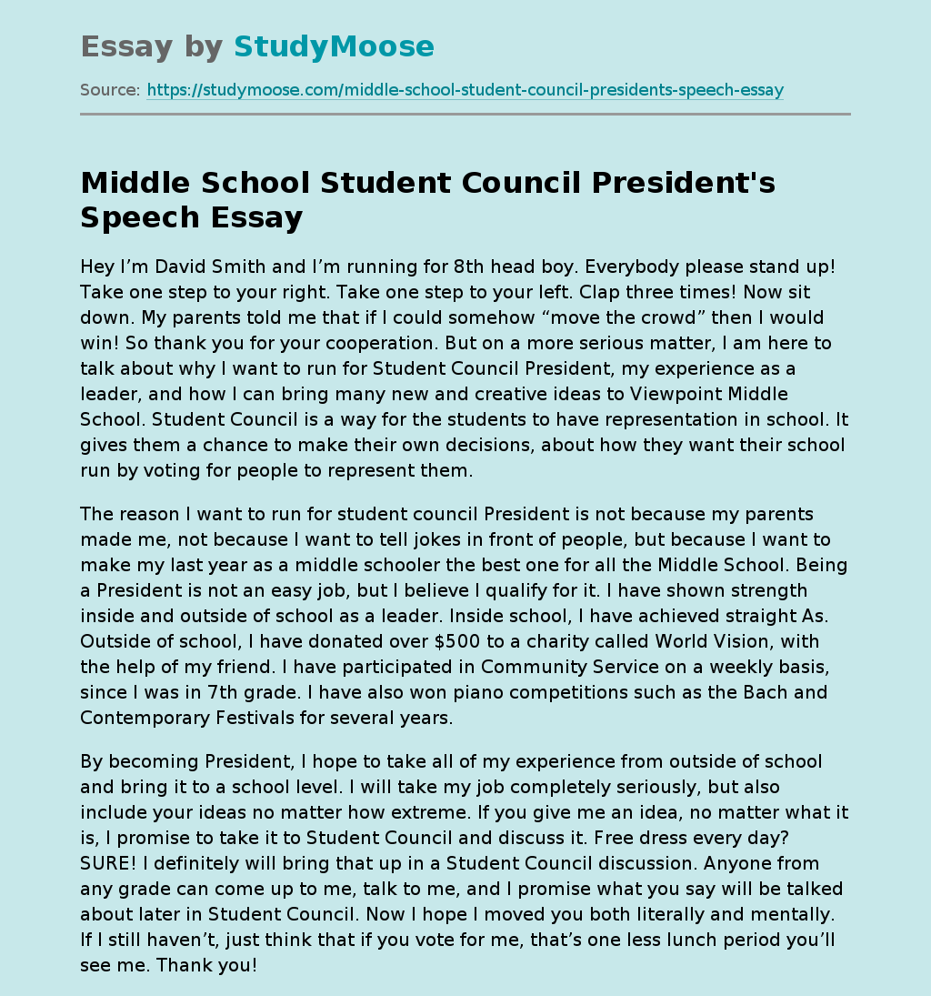 Why I Want to Be a Student Representative